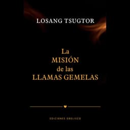 La misión de las llamas gemelas